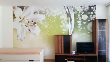 Appartment Pichlarn 1